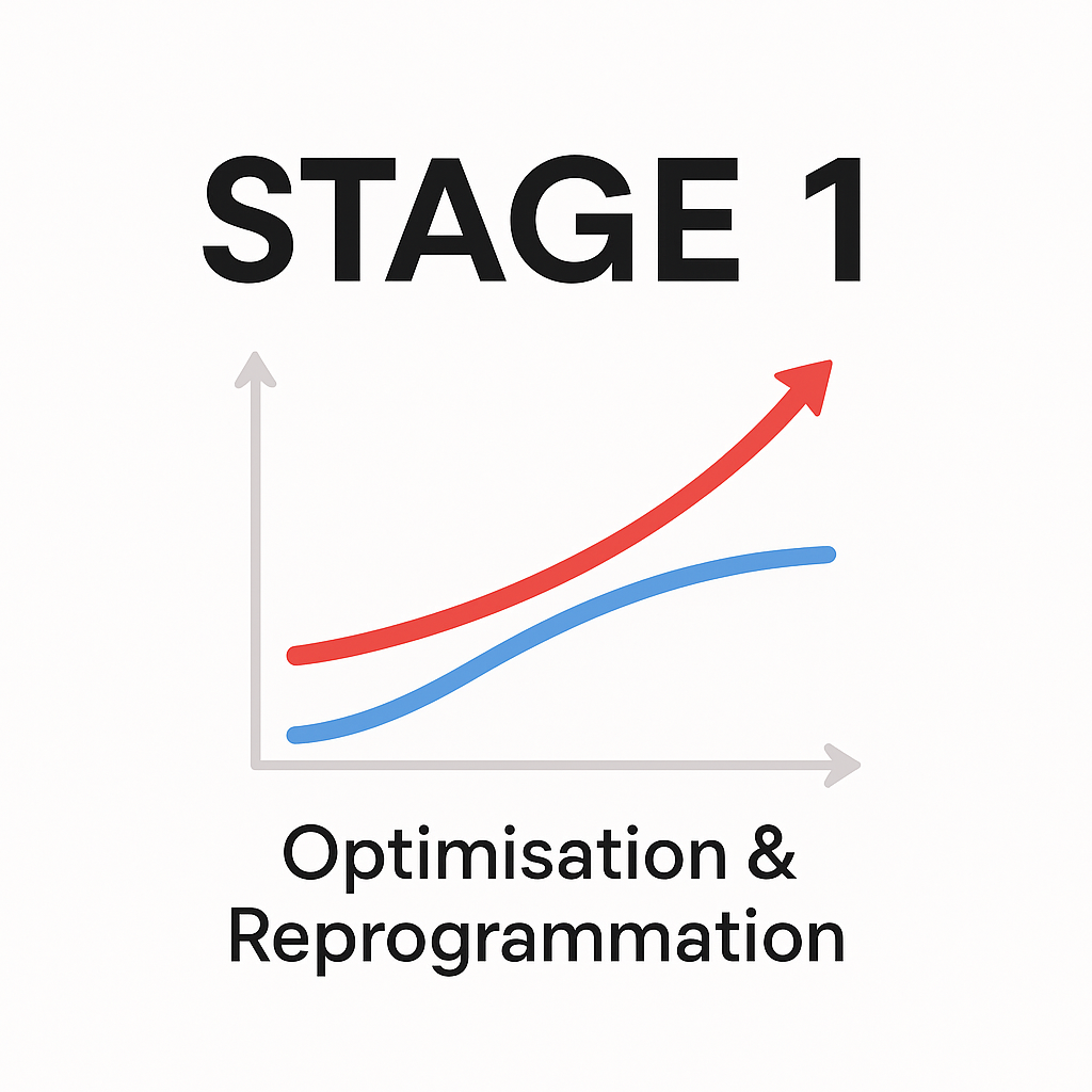 Stage 1 Reprogrammation moteur gain de puissance réactivité et économie