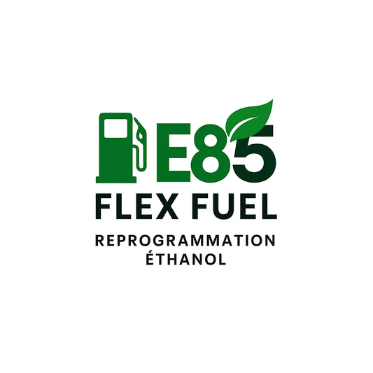 E85 Reprogrammation Éthanol Flex Fuel